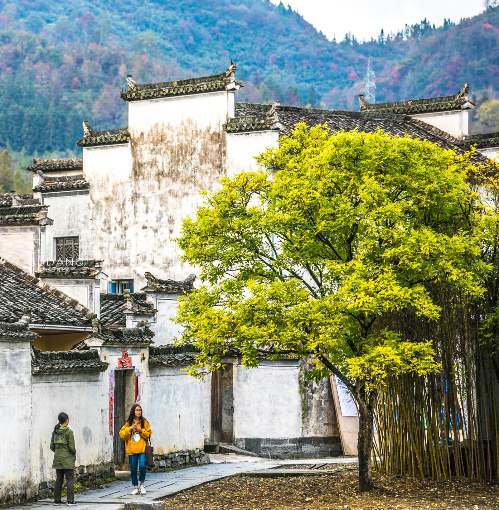 老外深度感受徽州之旅，探尋千年文化的獨(dú)特魅力