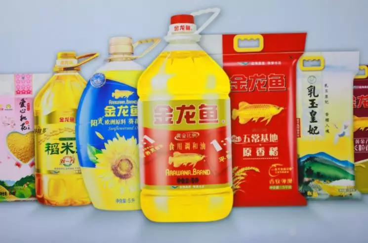 金龍魚銷量現(xiàn)狀，深度解析及最新數(shù)據(jù)