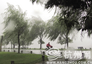 臺風與杭州，風的軌跡穿越城市記憶
