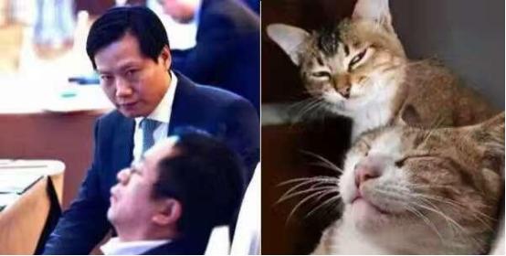 揭秘雷軍原照片背后的故事，探尋背后的傳奇人生之路
