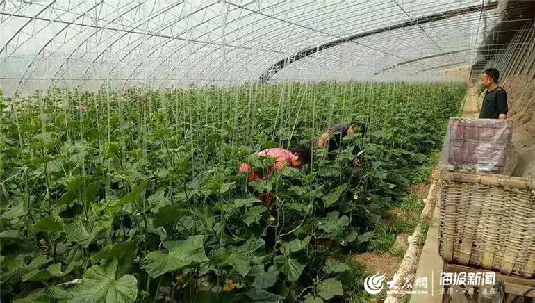 全國(guó)城鎮(zhèn)調(diào)查失業(yè)率九月最新數(shù)據(jù)出爐，深度解讀與未來展望，失業(yè)率維持5.1%水平分析