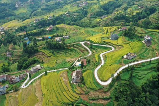山海協(xié)作，山與海的雙向奔赴之旅
