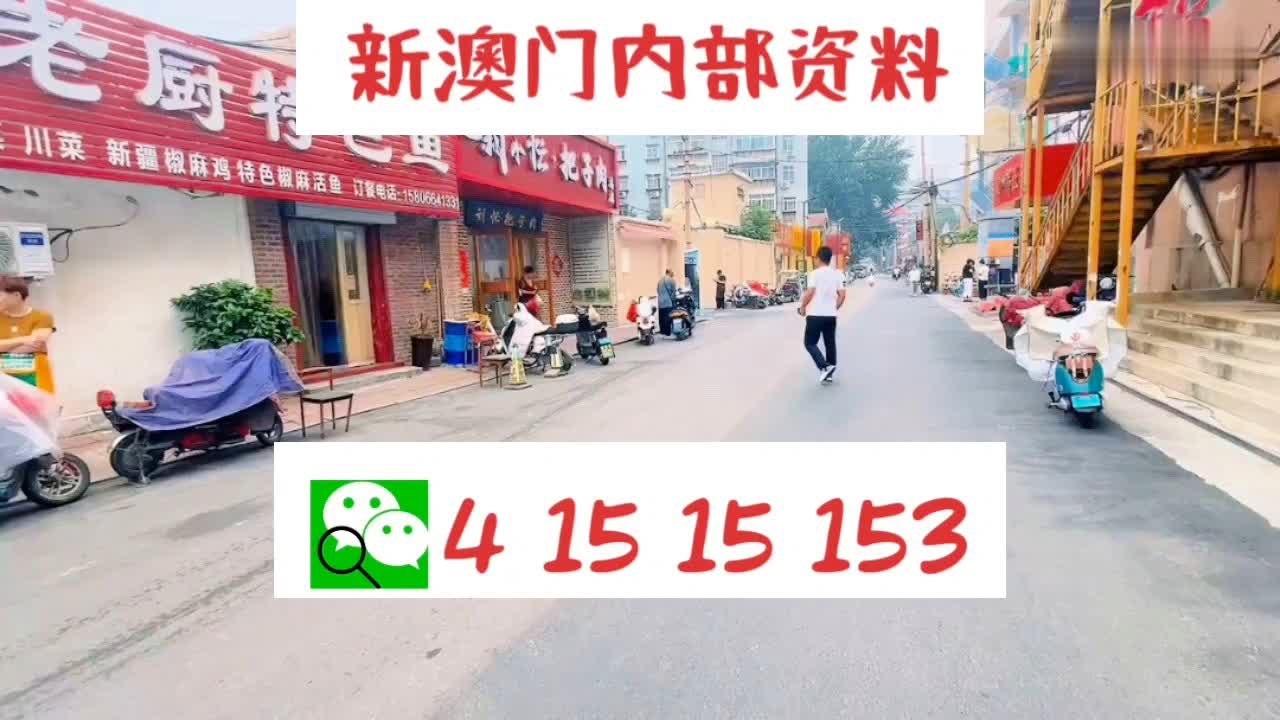 新澳門2024年資料大全管家婆，可靠策略分析_X60.96.15