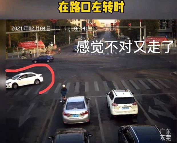新手女司機夜間高速逆行，警示故事與反思