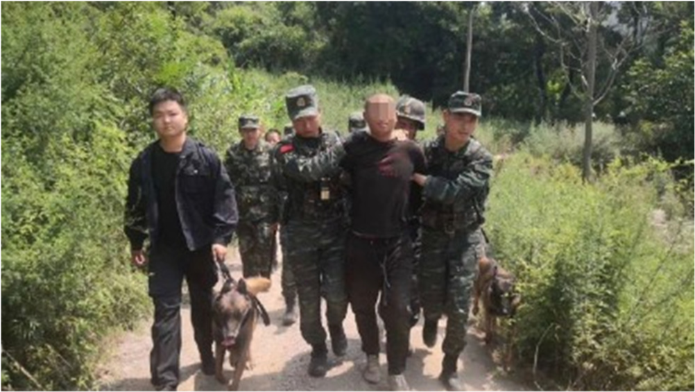 河南刑案致2死1傷事件，嫌犯自殺背后的真相深度剖析