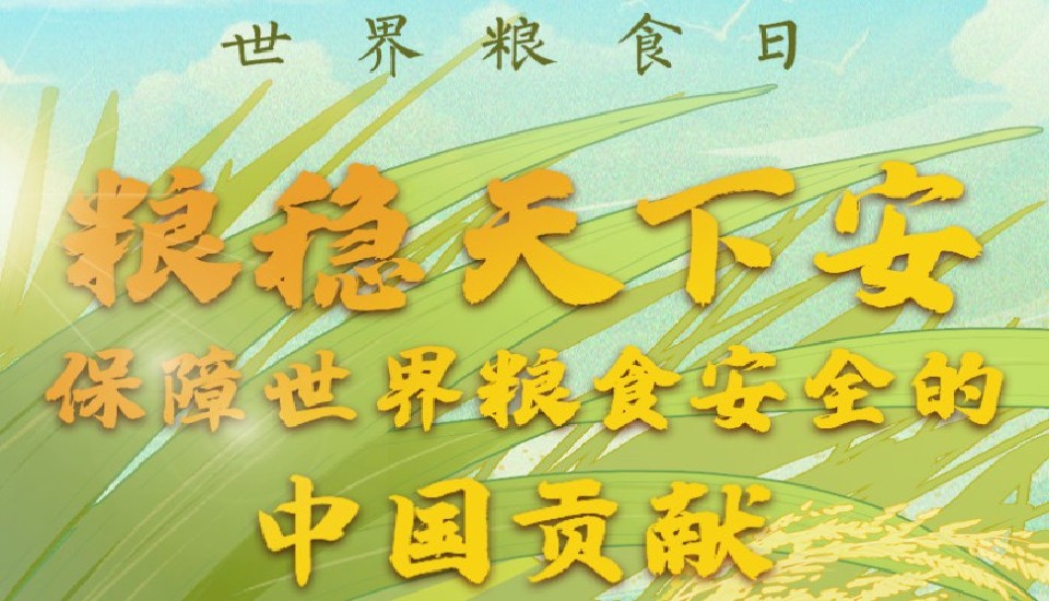 糧食安全之重，穩(wěn)定糧食供應(yīng)與保障措施