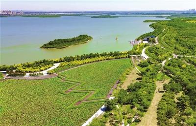 東麗湖最新動(dòng)態(tài)，揭開生態(tài)勝地嶄新面貌的奧秘