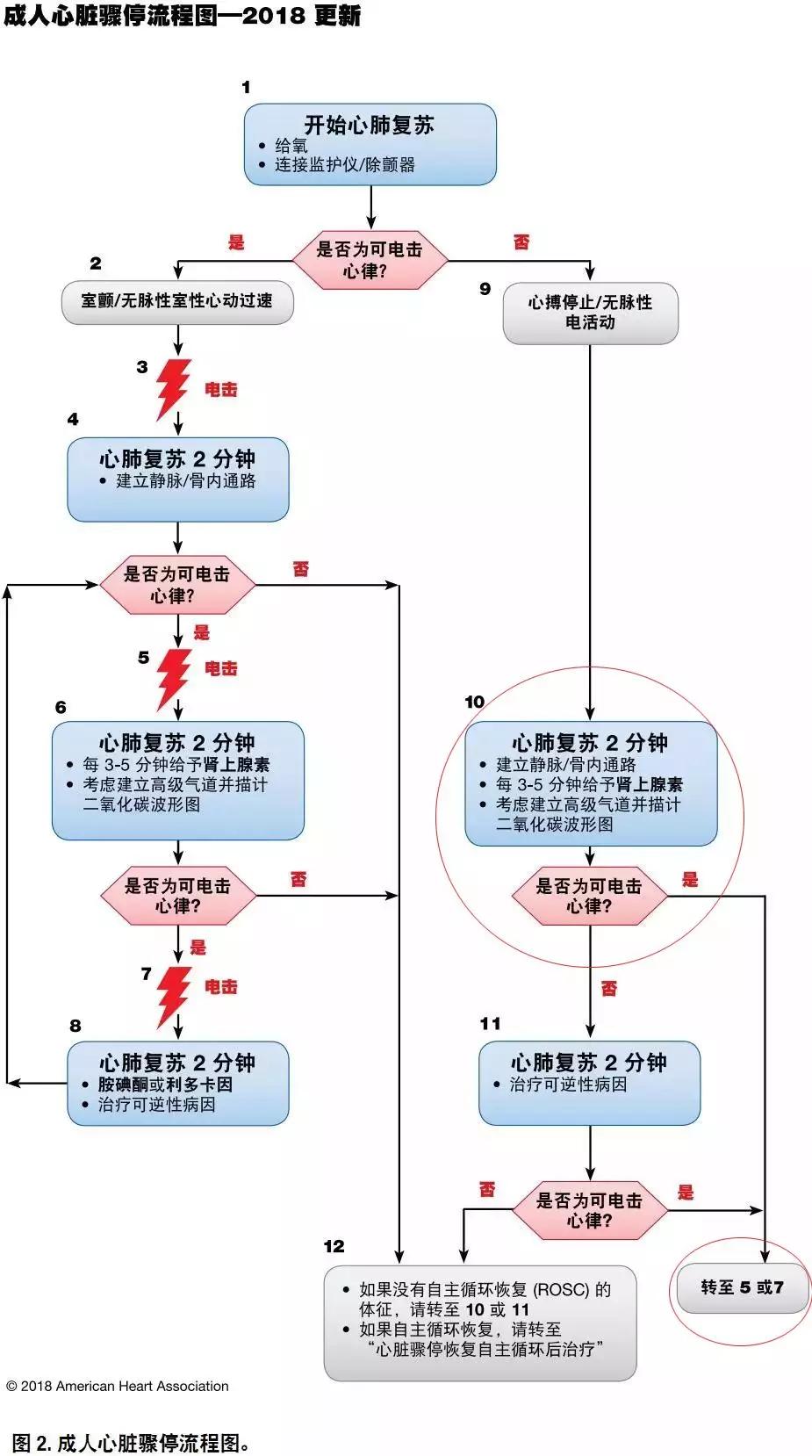 心肺復蘇最新指南，拯救生命的操作手冊