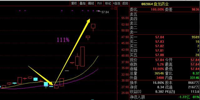 香港4777777開獎(jiǎng)結(jié)果解析：定量解析與定義闡述_BRT6.18.55專業(yè)版