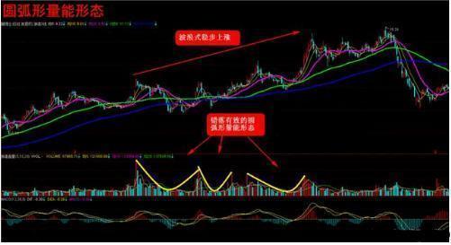 澳門頂級(jí)精準(zhǔn)龍門解析，尊貴解讀詳盡版_VUY7.13.86極致版