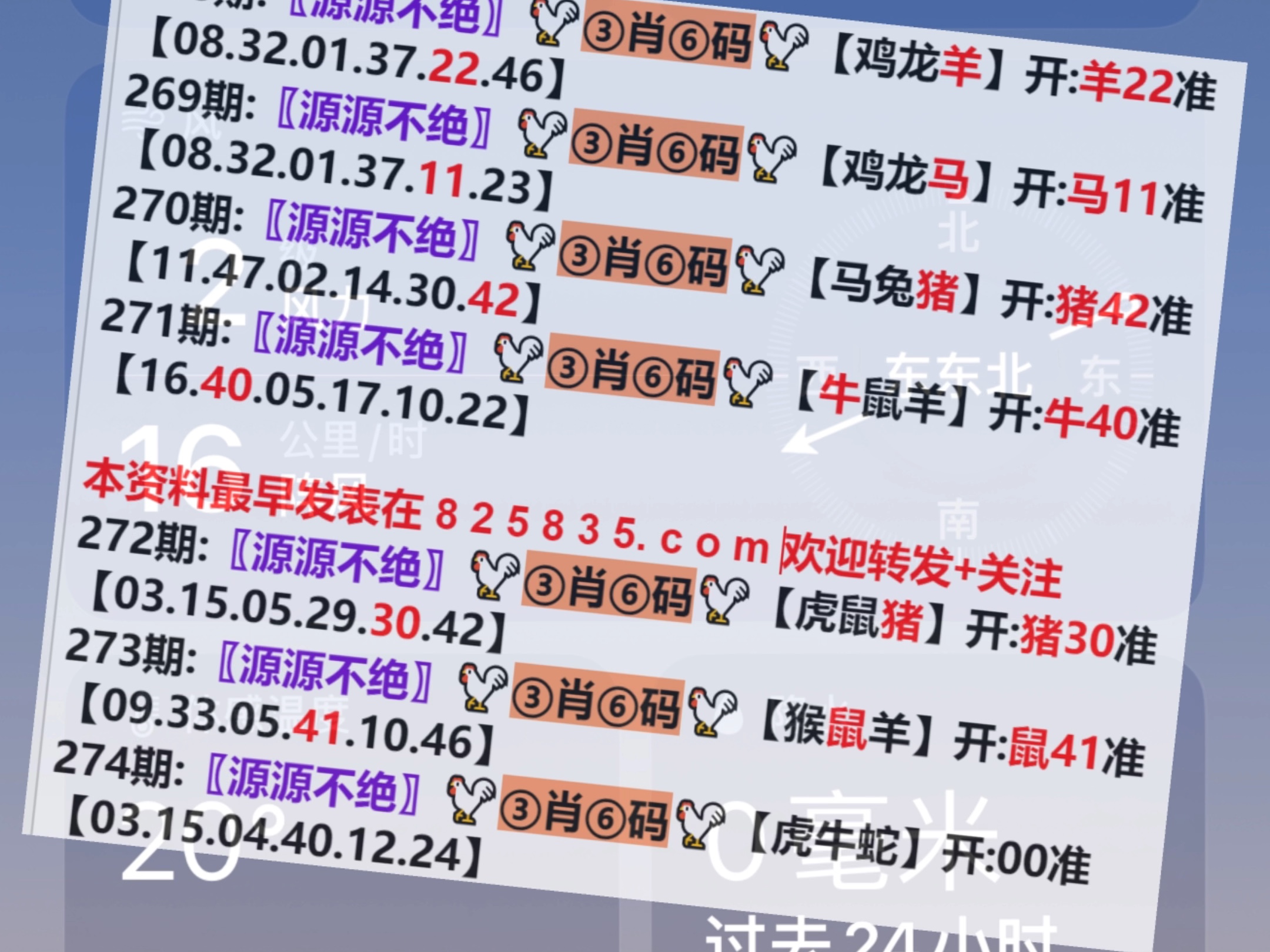 第509頁