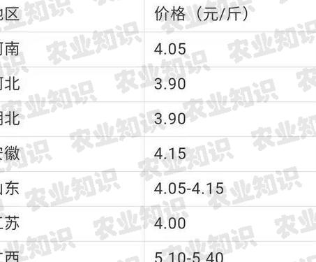 今日鴨最新價(jià)格，鴨肉市場(chǎng)動(dòng)態(tài)與趨勢(shì)探究