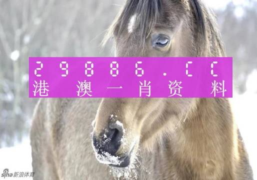 澳門一肖一碼100%,具象化表達(dá)解說(shuō)_XPG95.312視頻版