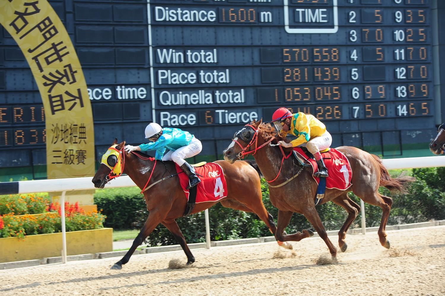 今晚新澳門跑馬圖,數(shù)據(jù)獲取方案_AOZ53.608漏出版