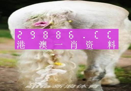 澳門一肖一碼一特一中247,實踐調查說明_YPX23.771共享版