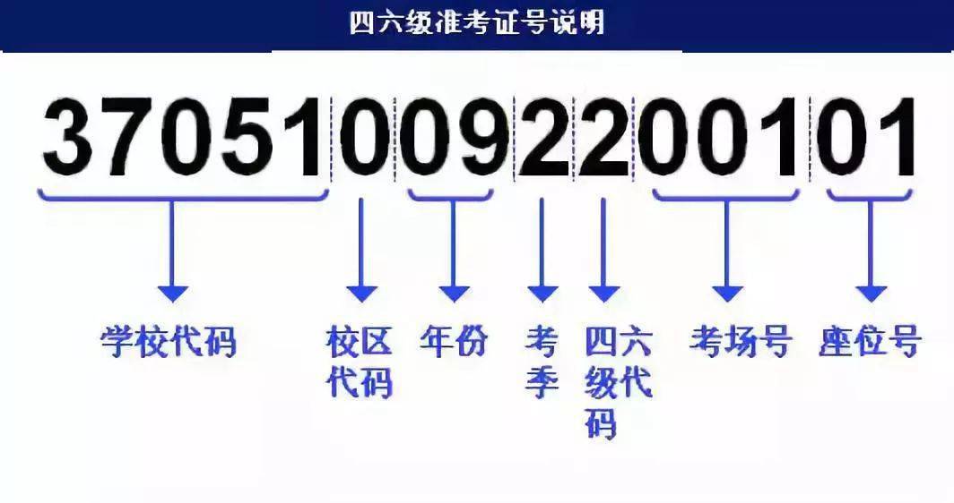 55123澳門開(kāi)獎(jiǎng)結(jié)果查詢,快速解答方案設(shè)計(jì)_ZTM23.817多功能版