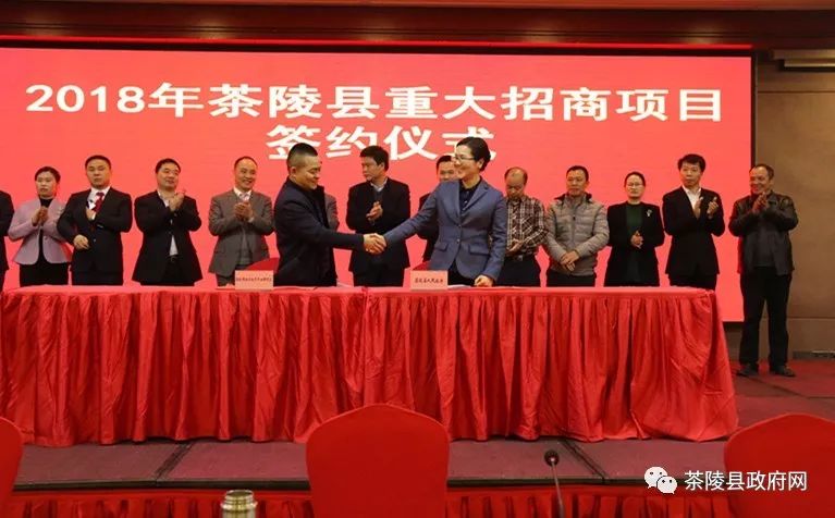 茶陵新聞最新消息簡報(bào)，時(shí)事動態(tài)與新聞報(bào)道匯總