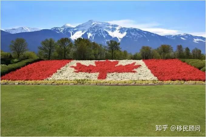 加拿大最新移民消息概覽，最新動態(tài)與趨勢分析