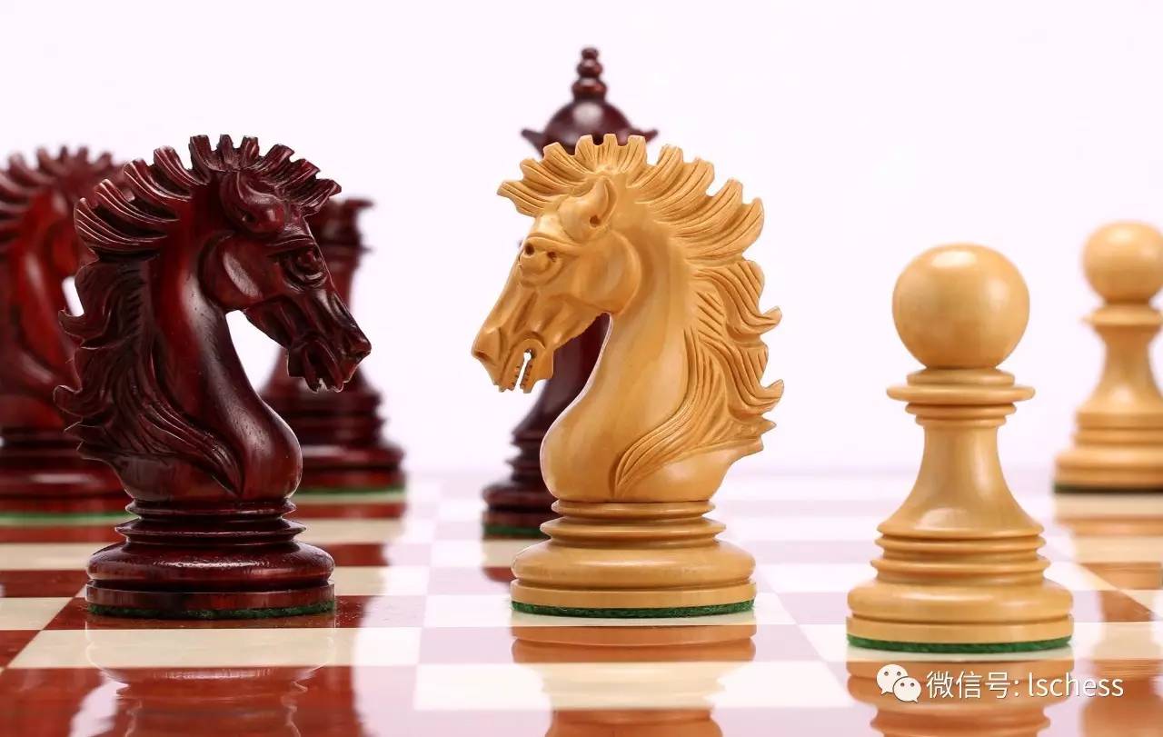 國(guó)際象棋賽場(chǎng)動(dòng)態(tài)大揭秘，棋手風(fēng)采與未來(lái)展望