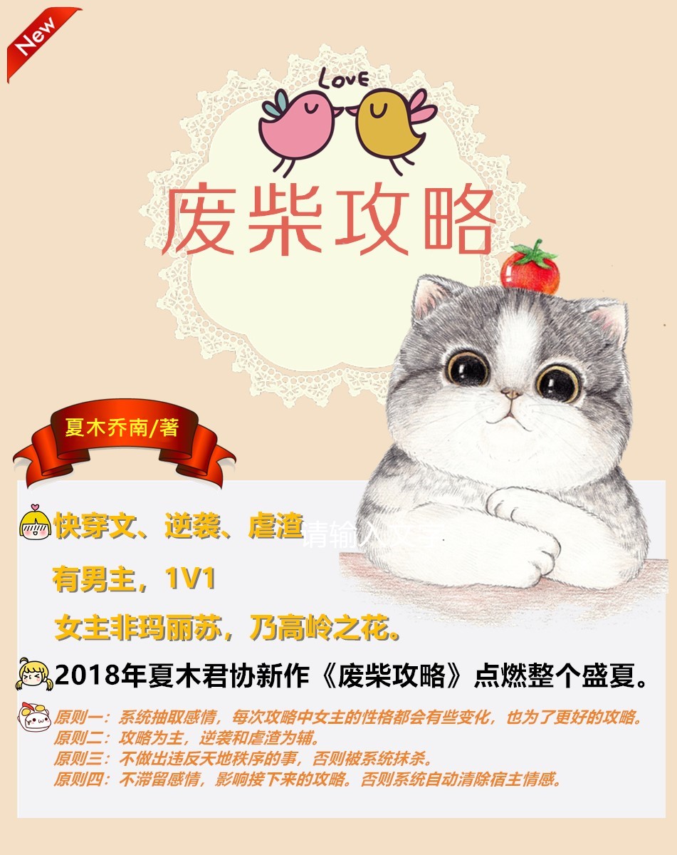 廢柴網(wǎng)最新地址探索，一場精彩紛呈的發(fā)現(xiàn)之旅