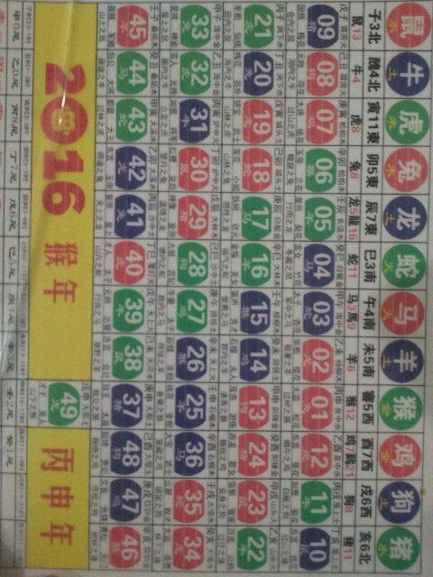 2024年十二生肖49碼表,機制評估方案_豐富版TCE13.13