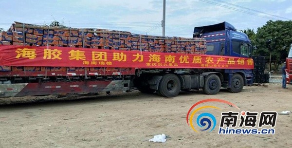 海南橡膠引領行業(yè)變革，開啟發(fā)展新篇章