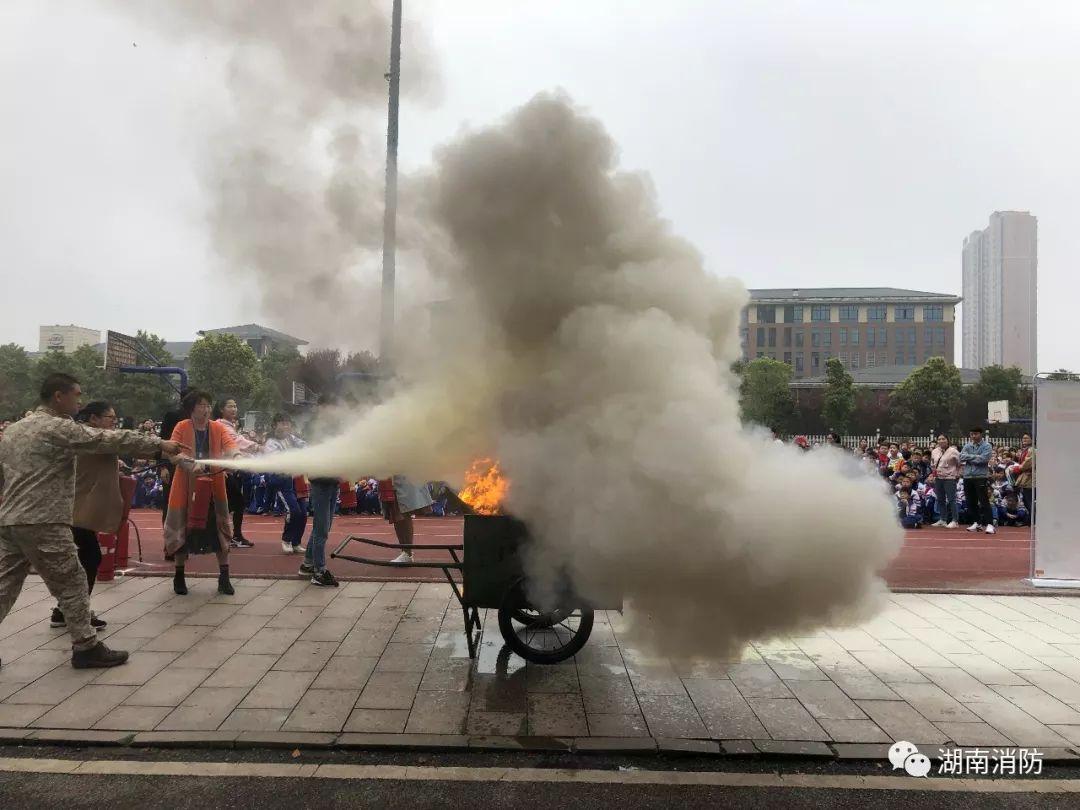 揭秘韶山最新發(fā)展動(dòng)態(tài)，探索新面貌新聞熱點(diǎn)速遞