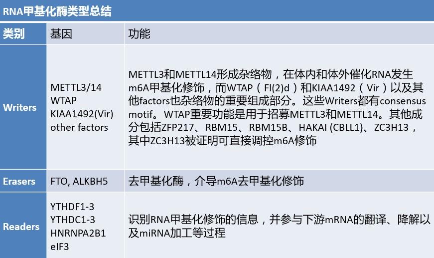 龍門最快最精準免費資料,多元化診斷解決_實驗版RMA13.9
