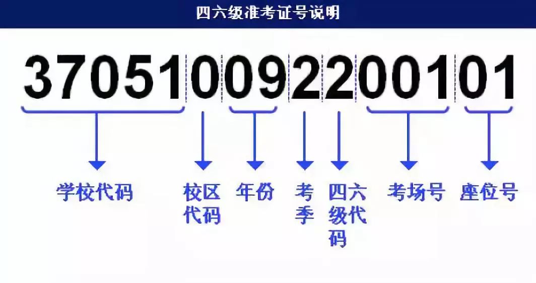 2024澳門天天六開,快速解答方案設計_QJY19.347智慧共享版