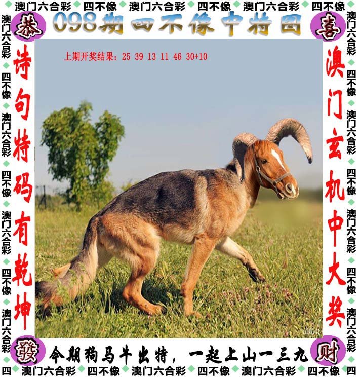 澳門(mén)今晚開(kāi)精準(zhǔn)四不像游戲,專(zhuān)業(yè)解讀方案實(shí)施_BNU19.872愉悅版