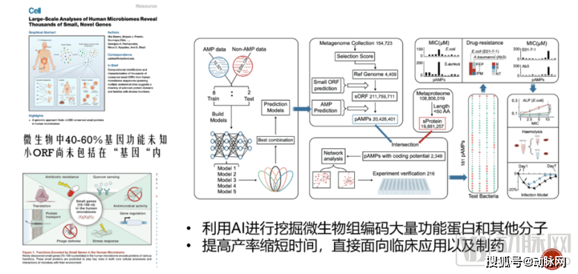 新奧門資料免費資料,數(shù)據(jù)驅動方案_ELA83.692豐富版