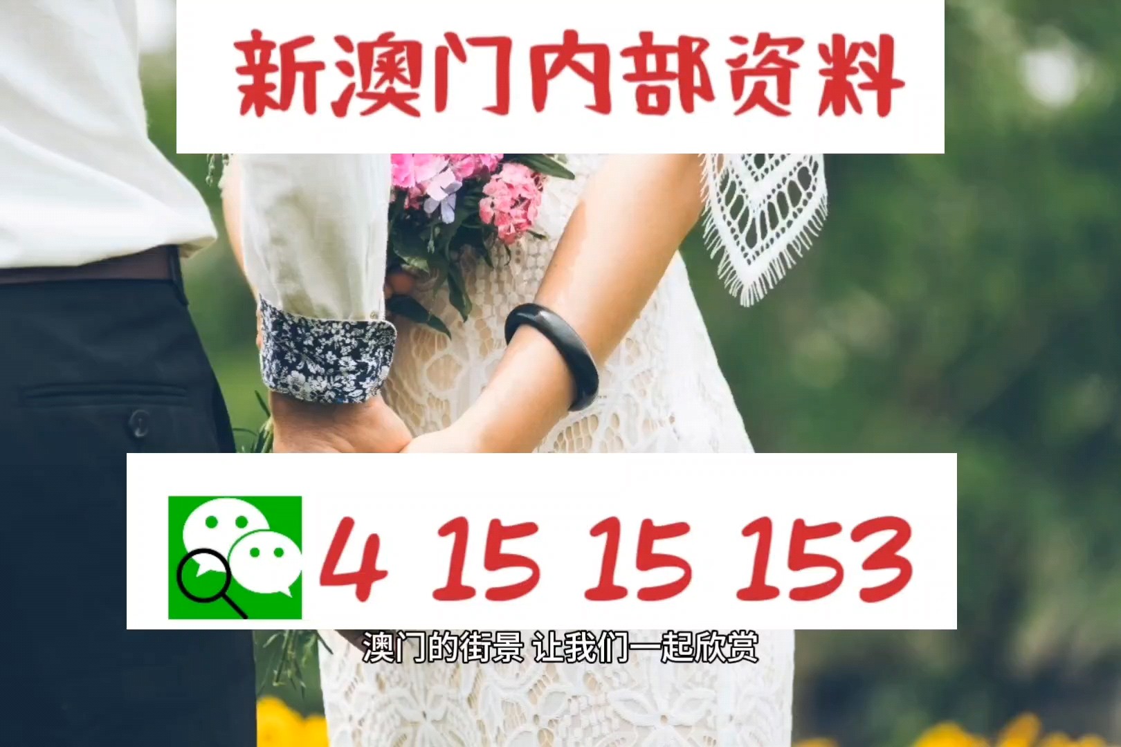 新澳門小雯資料2024年,多元化診斷解決_EGF83.307優(yōu)雅版