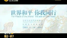 大地電影資源第二頁,社會責任法案實施_GBW83.775DIY工具版