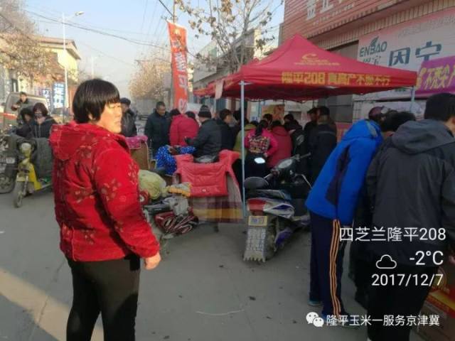 寧晉貼吧最新消息概覽，熱門話題一網(wǎng)打盡