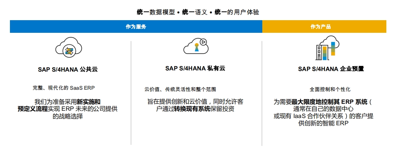 SAP最新版本，引領(lǐng)企業(yè)數(shù)字化轉(zhuǎn)型的新引擎