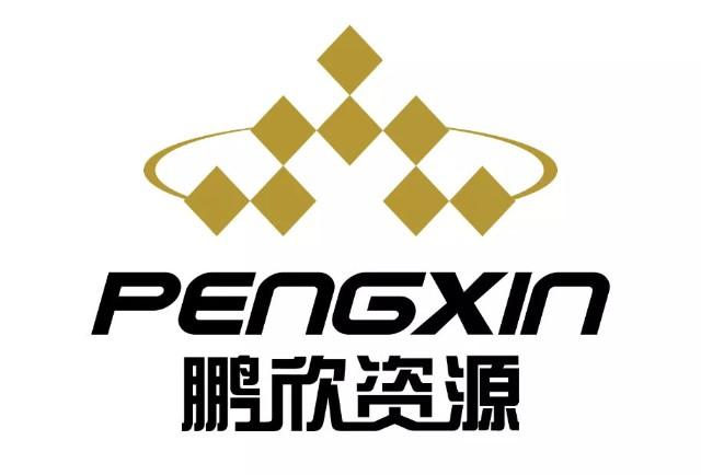 鵬欣資源最新消息綜述，全面解讀公司動態(tài)與行業(yè)趨勢