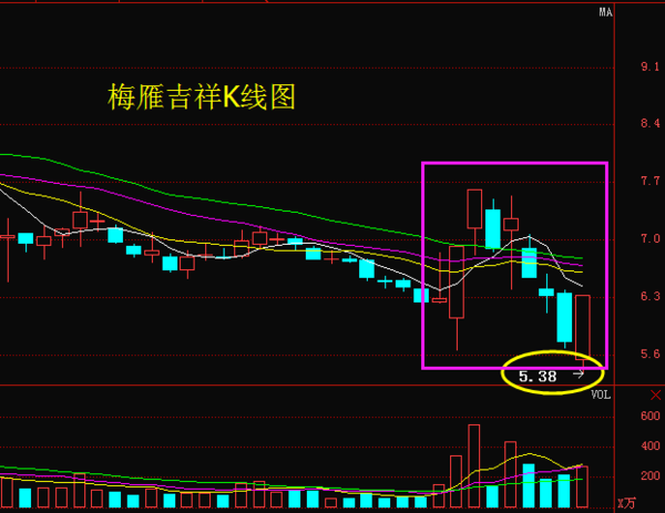 梅雁吉祥蓄勢待發(fā)，共創(chuàng)美好未來，最新消息概覽