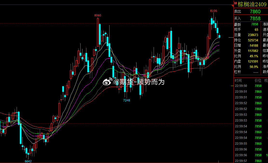 棕櫚期貨最新動態(tài)，市場動態(tài)、影響因素及未來展望