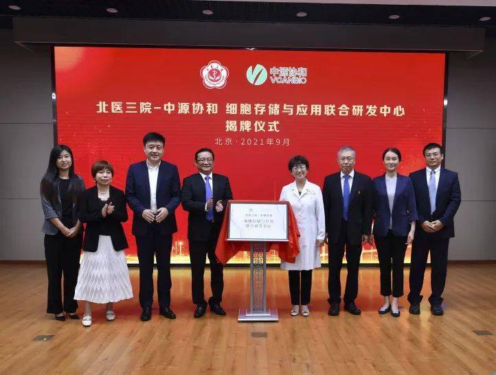 中源協(xié)和最新消息全面解析，最新動態(tài)與深度分析
